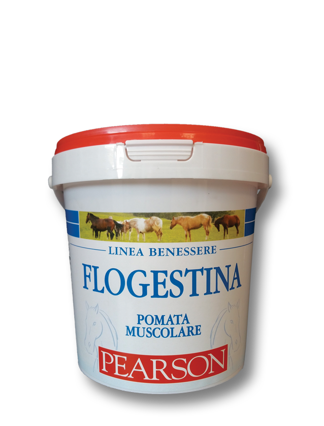Flogestina