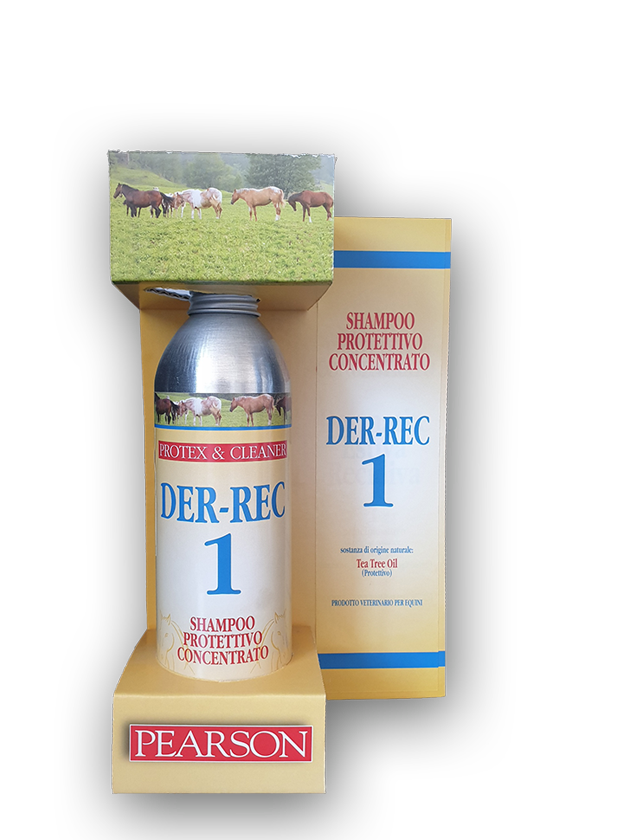 Der-Rec 1
