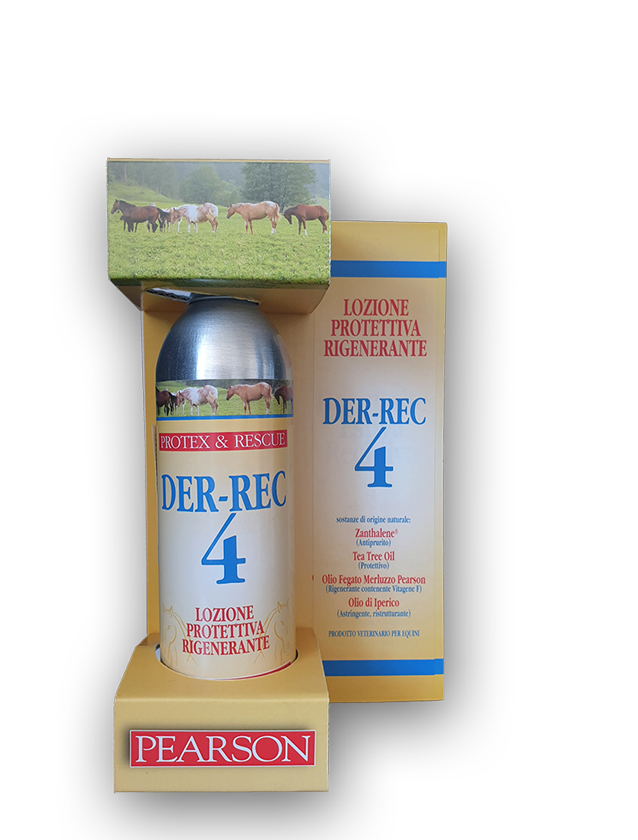 Der-Rec 4