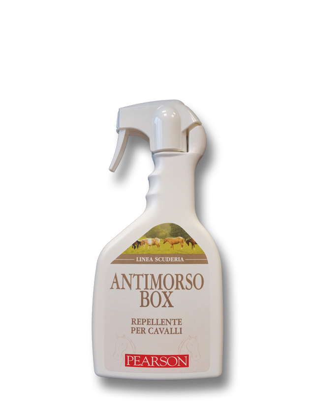 Antimorso Box